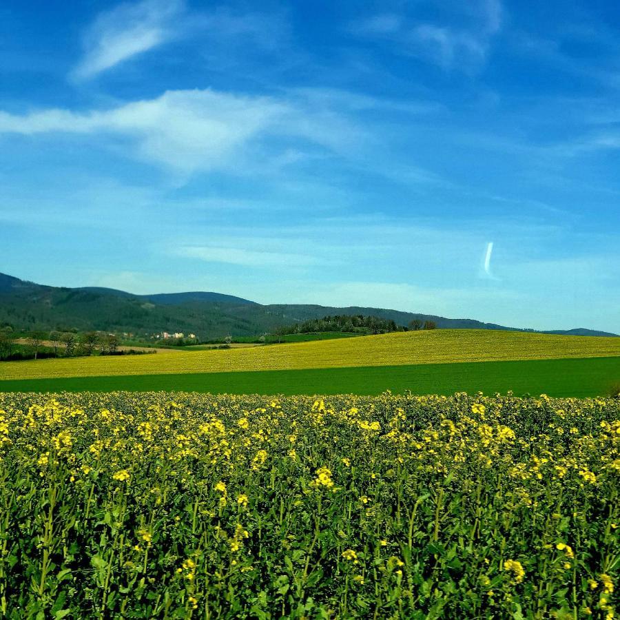 Agroturystyka Sielska Kraina Зомбковице Шльонске Екстериор снимка
